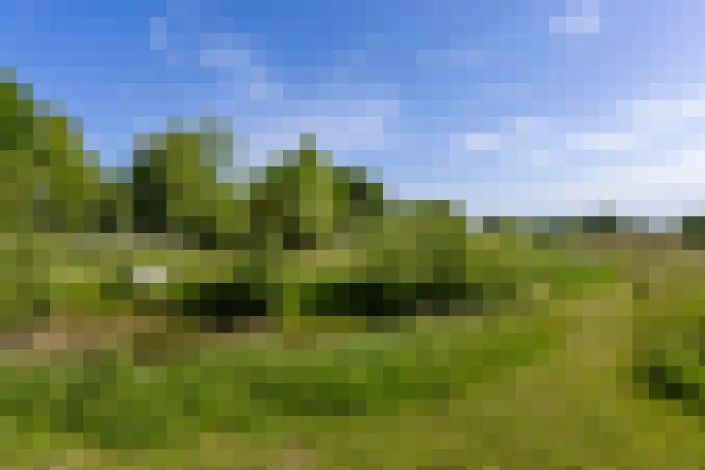 Achterstewold 12 A Peize thumbnail 92