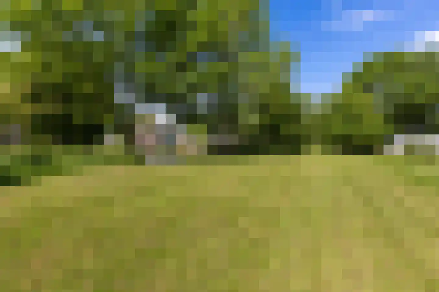 Achterstewold 12 A Peize thumbnail 93