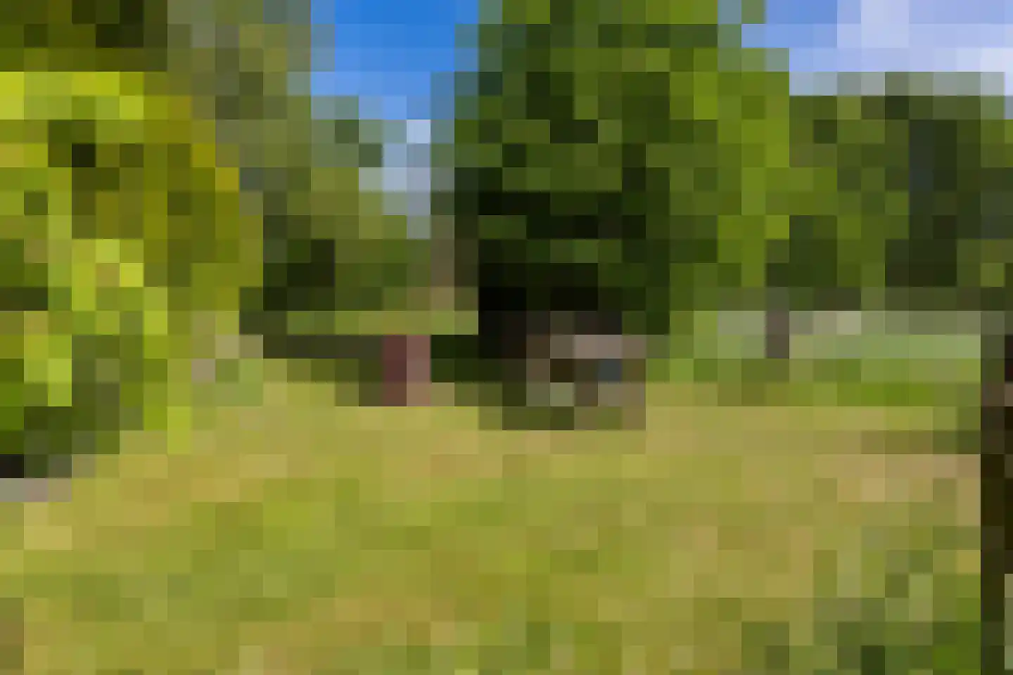 Achterstewold 12 A Peize thumbnail 94