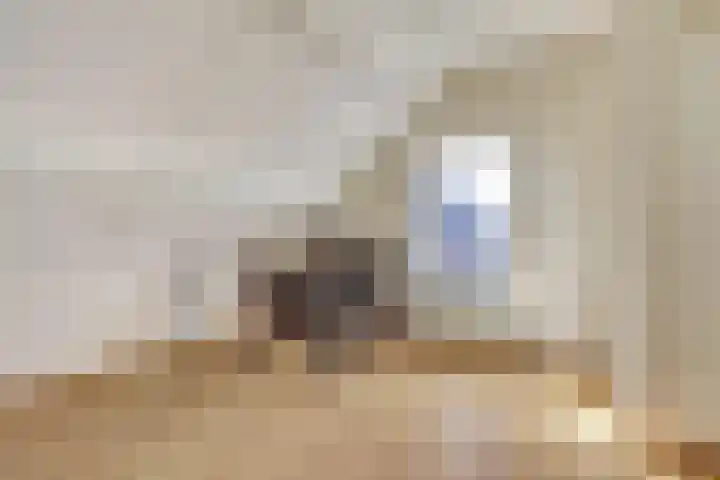Achterstraat 1 Beesd thumbnail 36