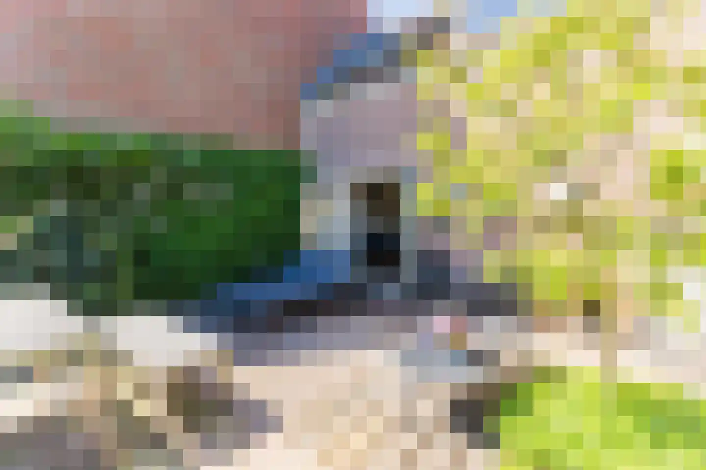Achterstraat 1 Montfoort thumbnail 21