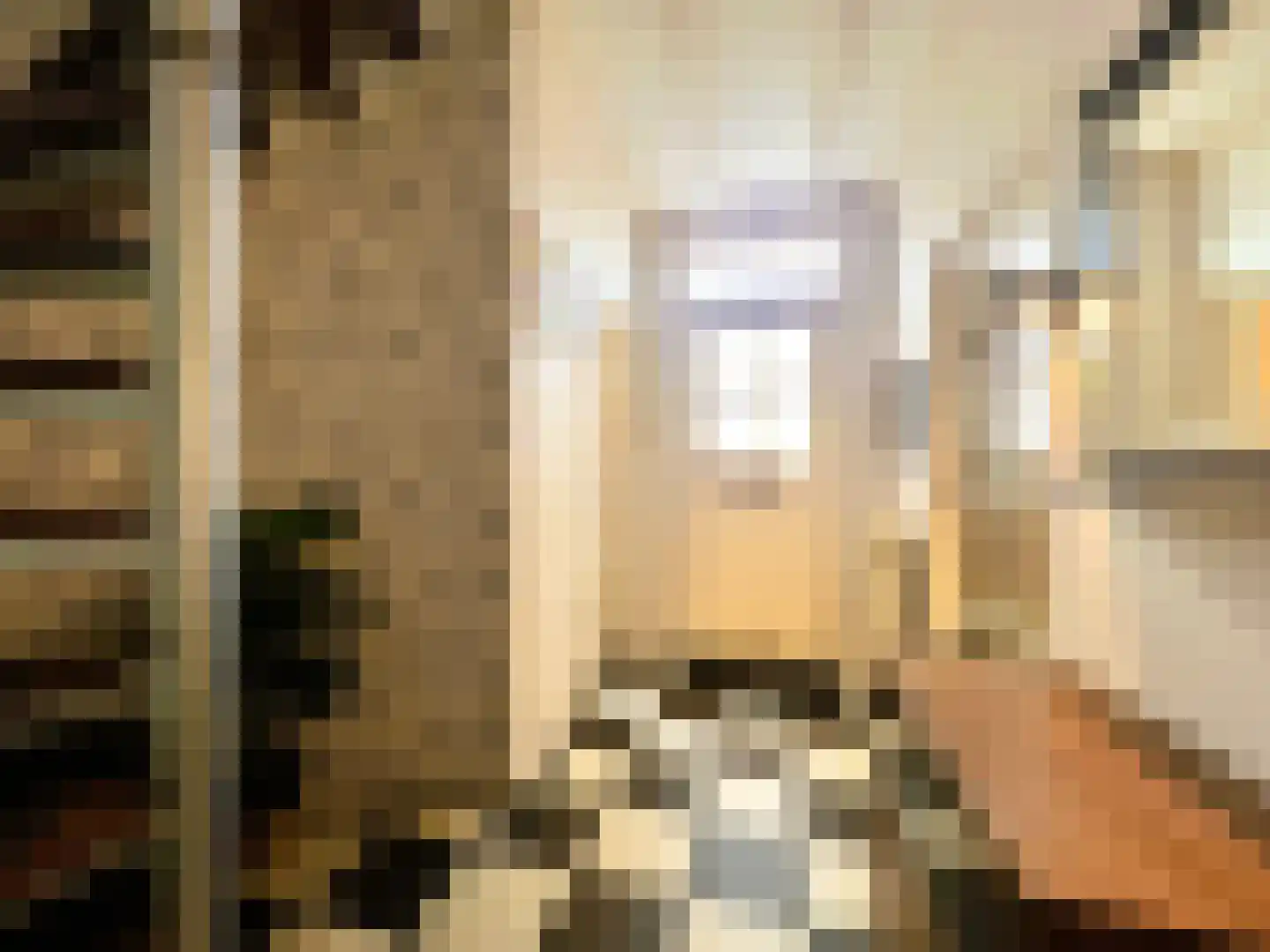 Achterstraat 1 Montfoort thumbnail 4