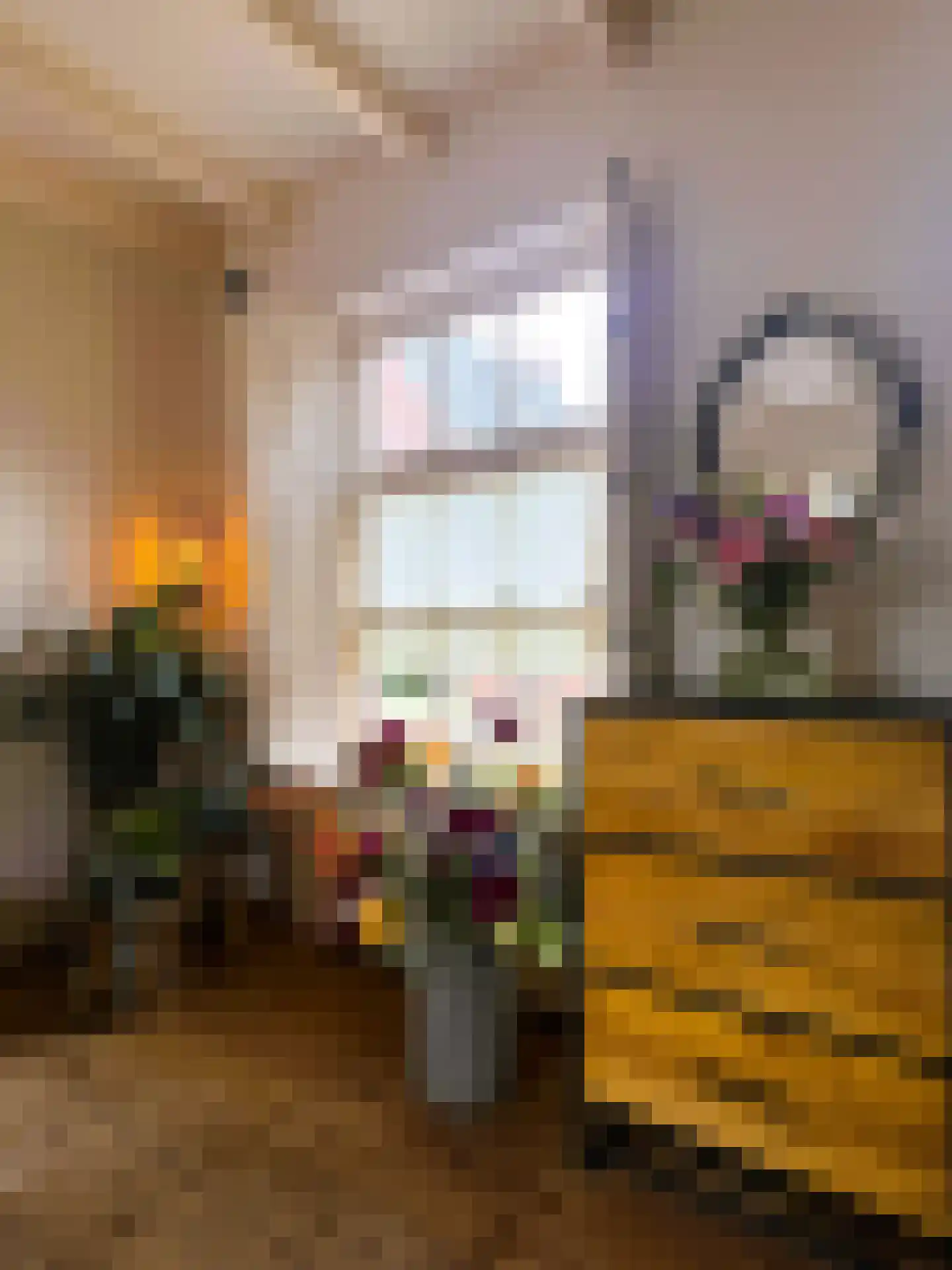 Achterstraat 1 Montfoort thumbnail 9