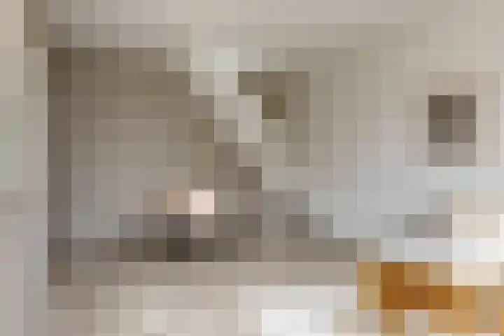 Achterstraat 10 B Woerden thumbnail 6