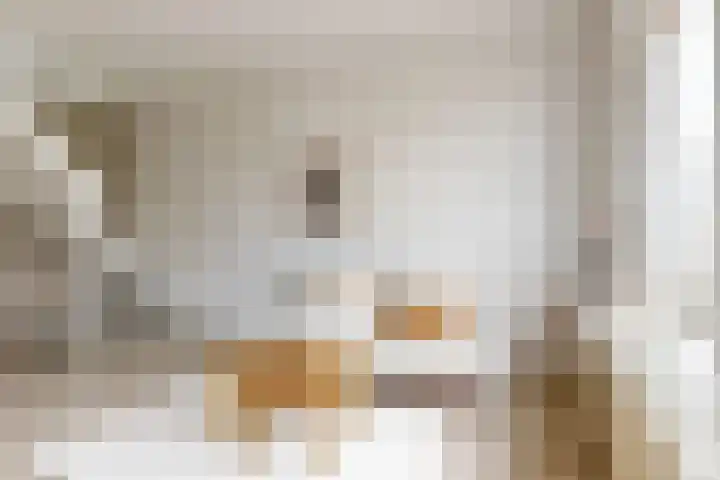 Achterstraat 10 B Woerden thumbnail 7
