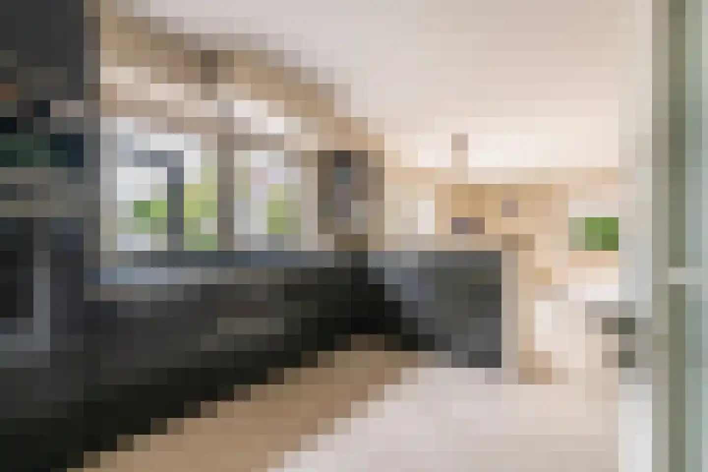Achterstraat 11 A Asch thumbnail 12