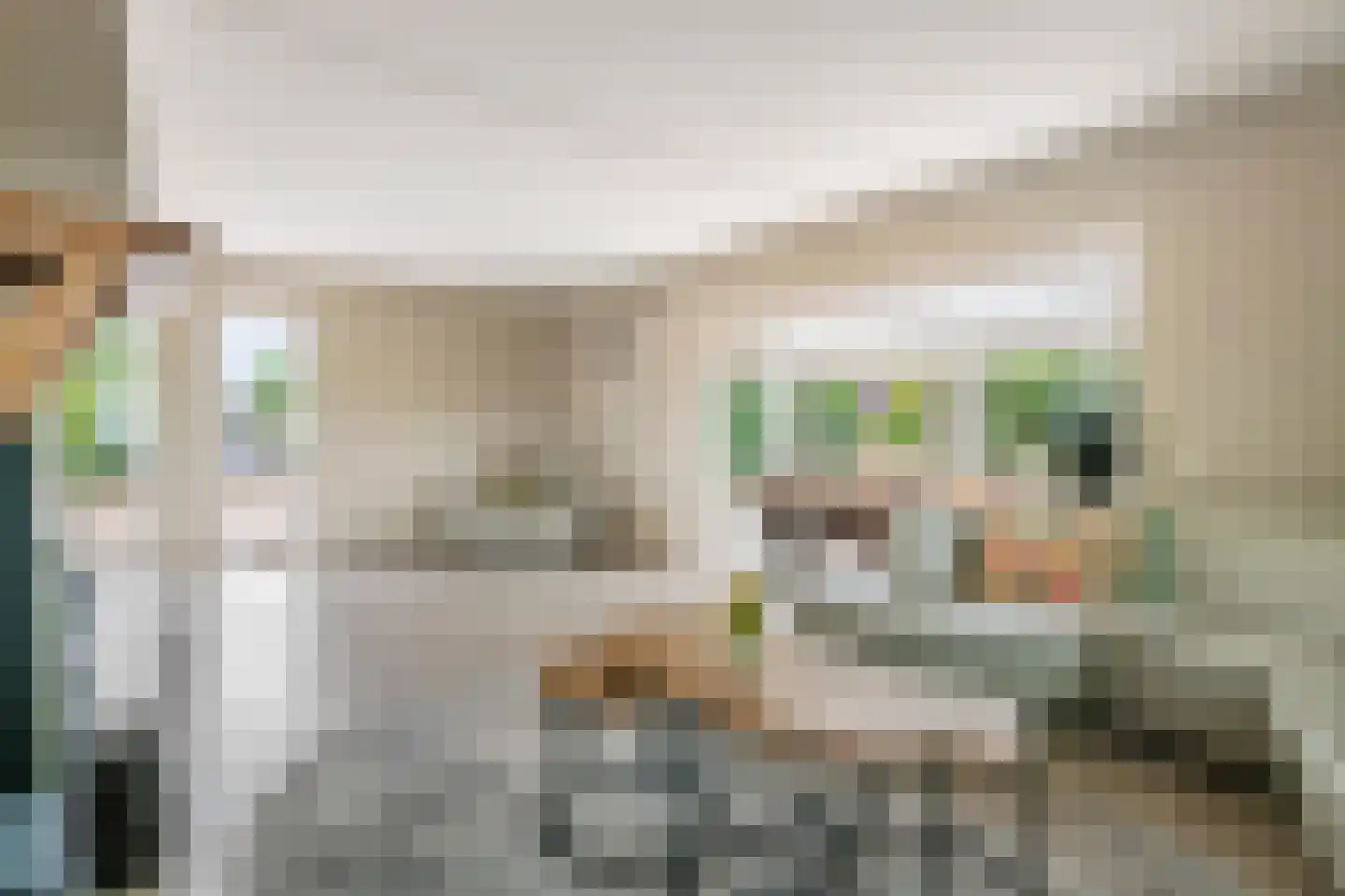 Achterstraat 11 A Asch thumbnail 24