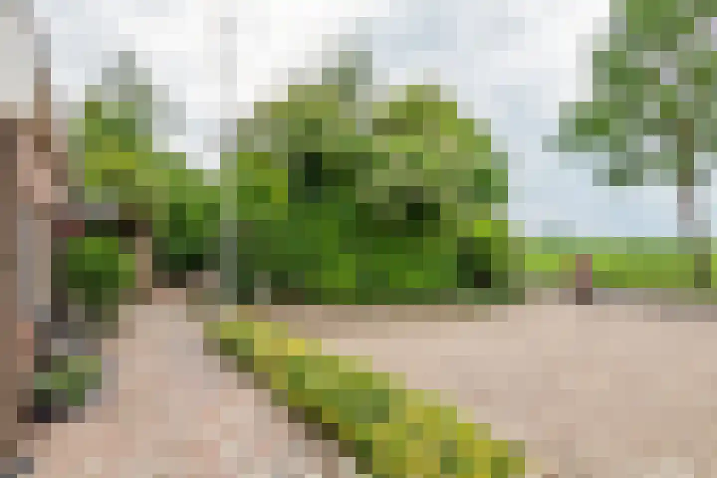 Achterstraat 11 A Asch thumbnail 4