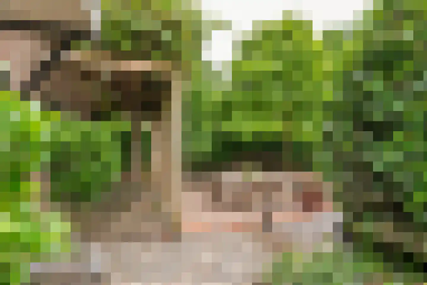 Achterstraat 11 A Asch thumbnail 49