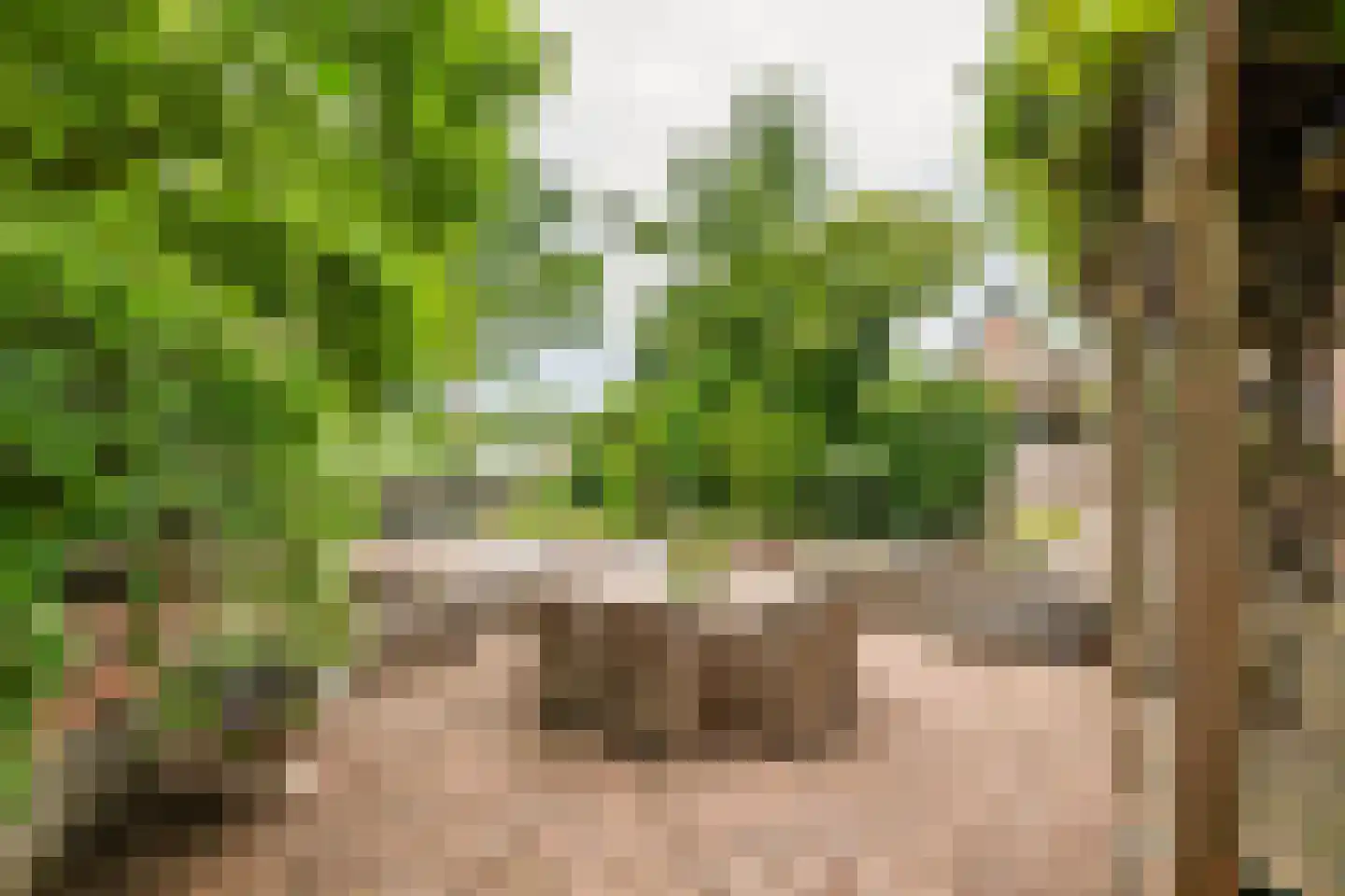 Achterstraat 11 A Asch thumbnail 50