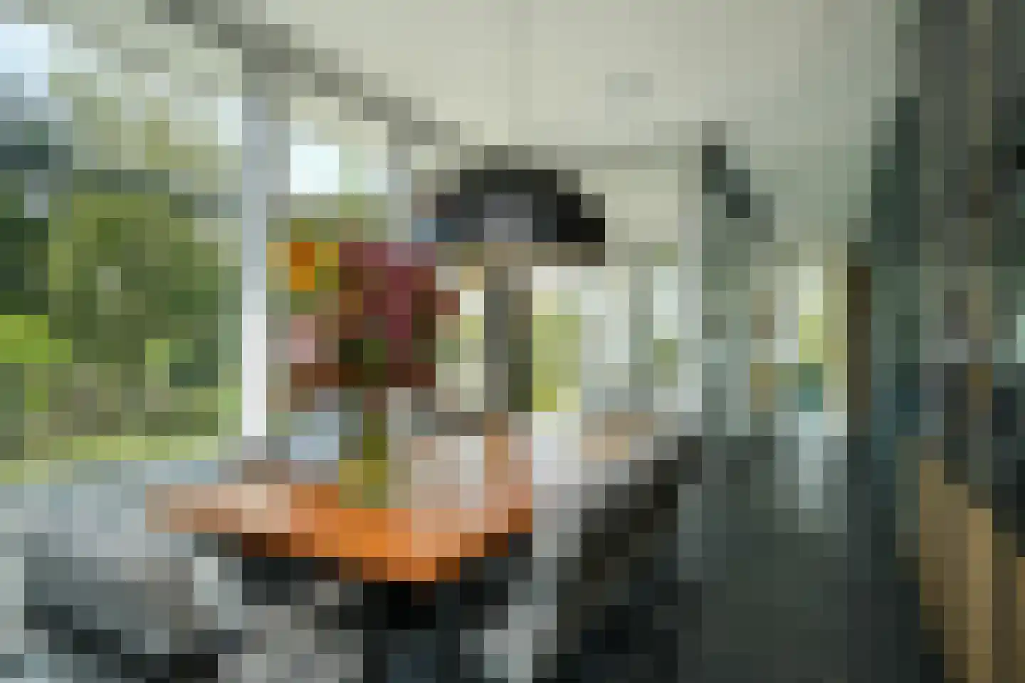 Achterstraat 11 a Kerkwijk thumbnail 17