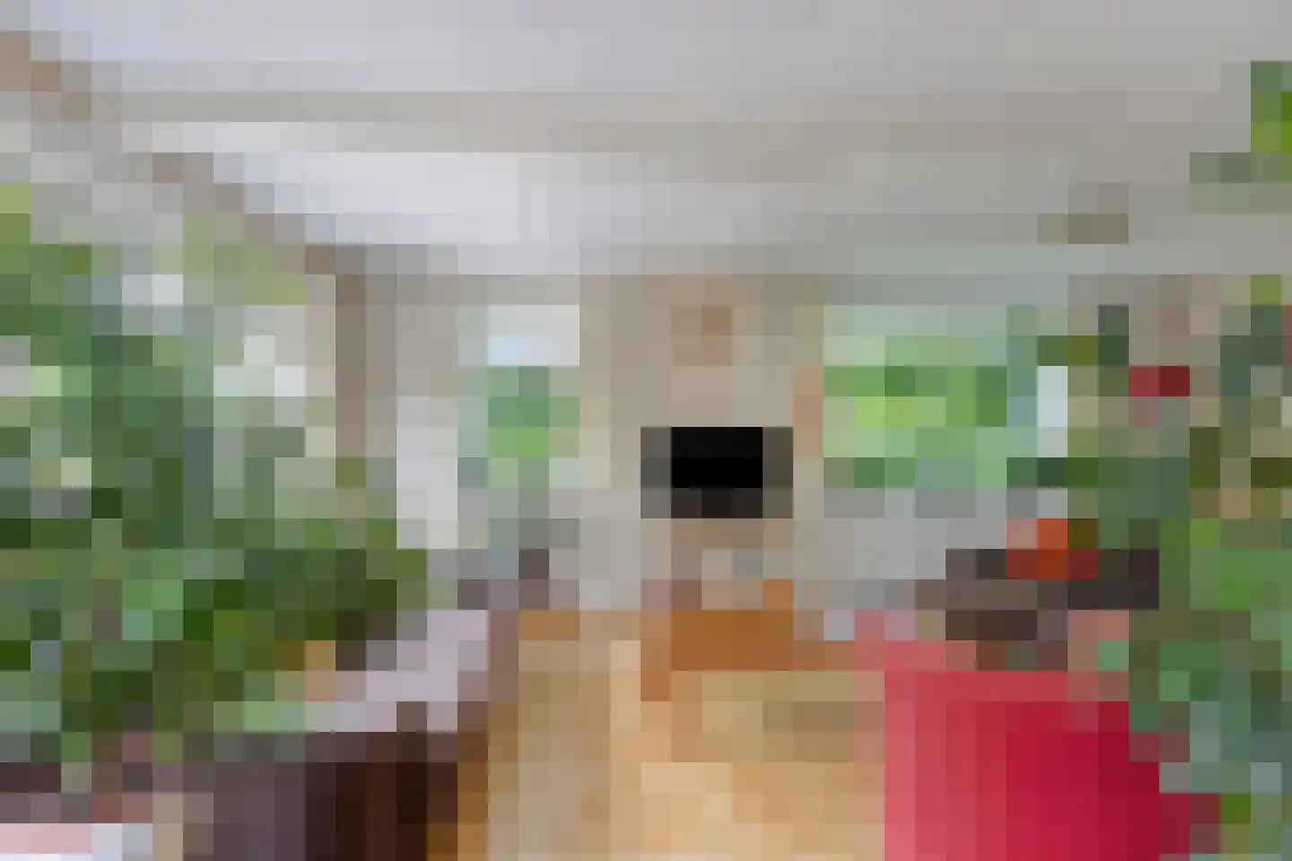 Achterstraat 11 Kerkwijk thumbnail 15