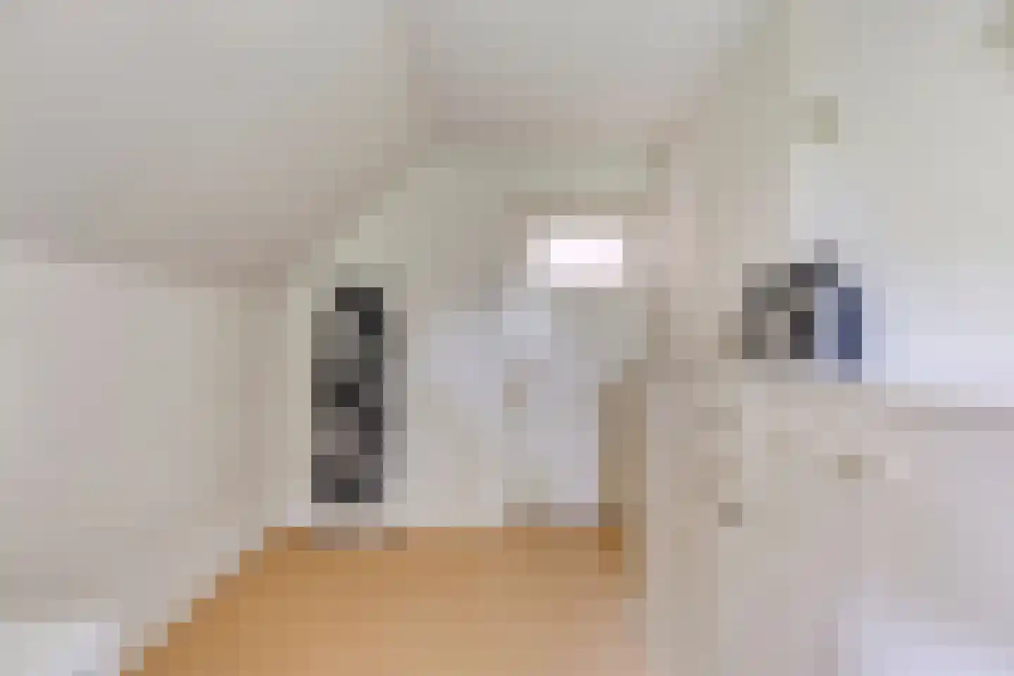 Achterstraat 11 Kerkwijk thumbnail 25