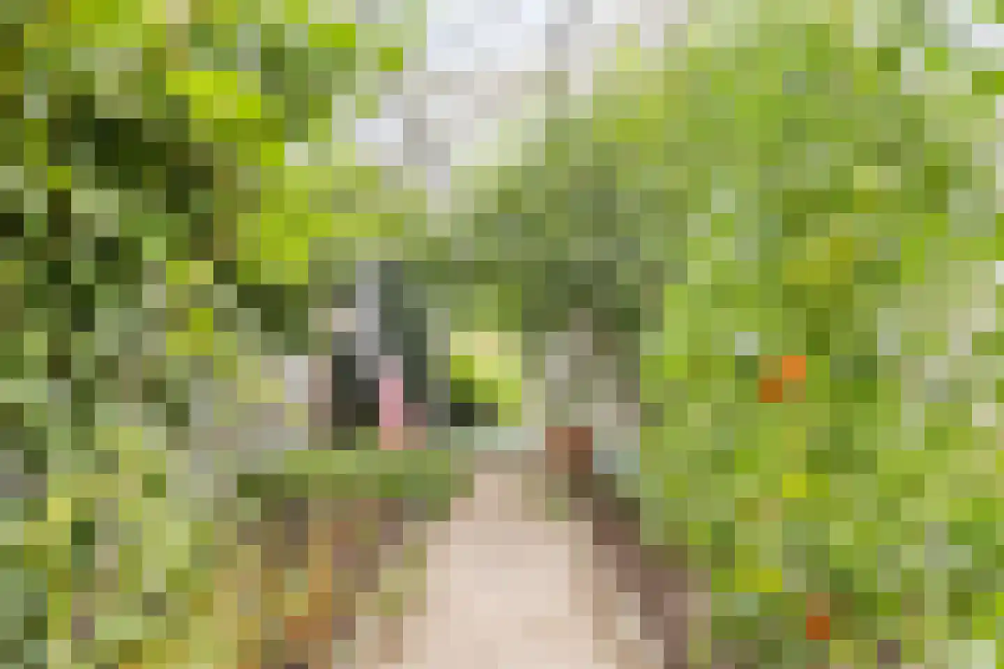 Achterstraat 11 Kerkwijk thumbnail 41