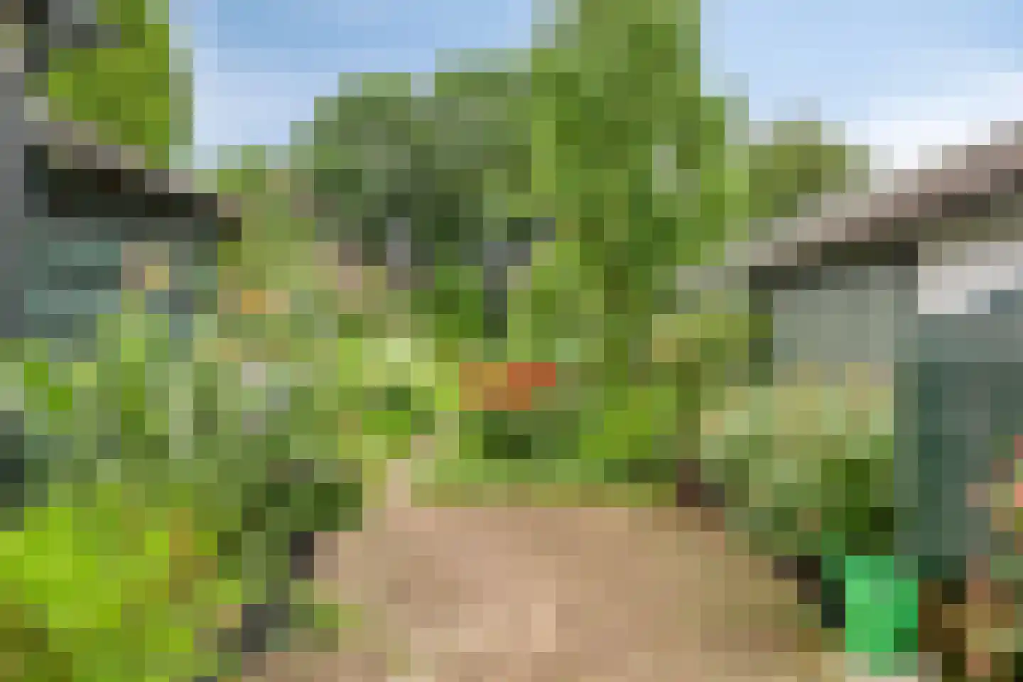 Achterstraat 11 Kerkwijk thumbnail 42