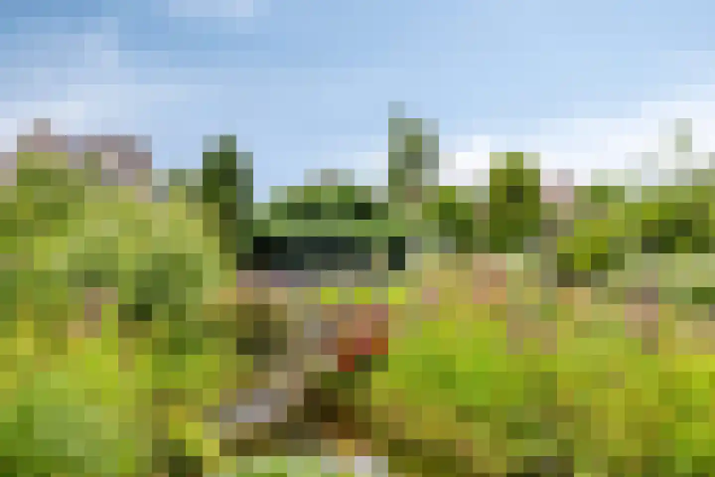 Achterstraat 11 Kerkwijk thumbnail 50