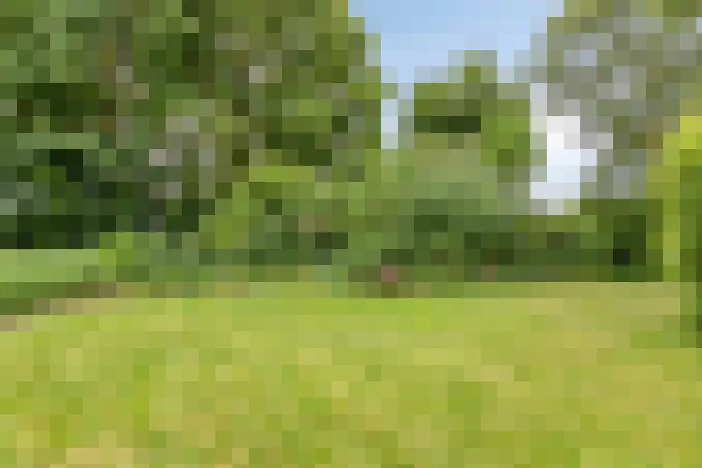Achterstraat 11 Kerkwijk thumbnail 51