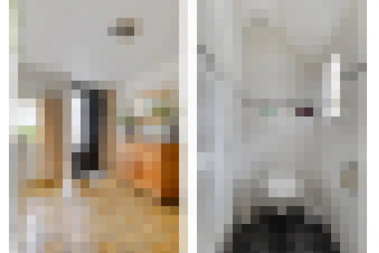 Achterstraat 11 Kerkwijk thumbnail 6