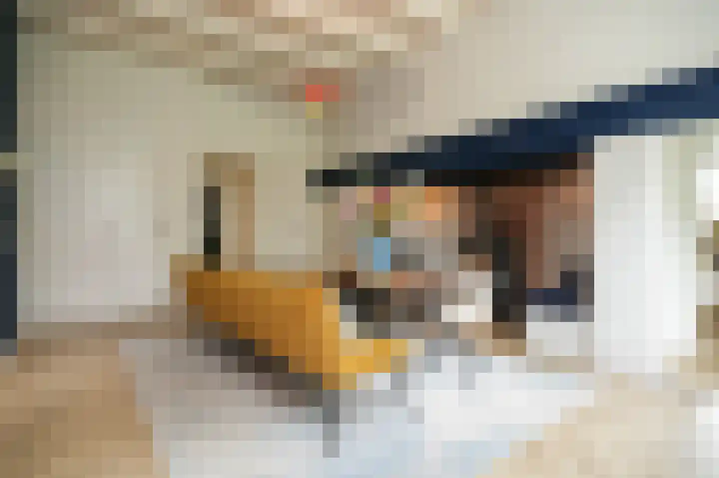 Achterstraat 11 Zoelen thumbnail 17
