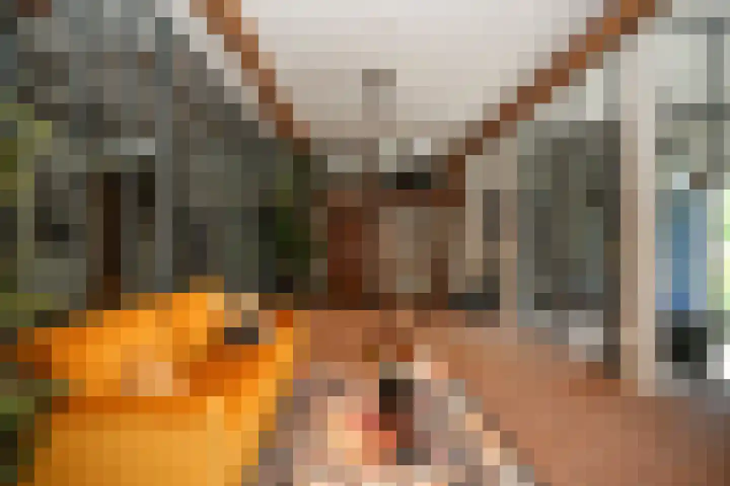 Achterstraat 11 Zoelen thumbnail 20