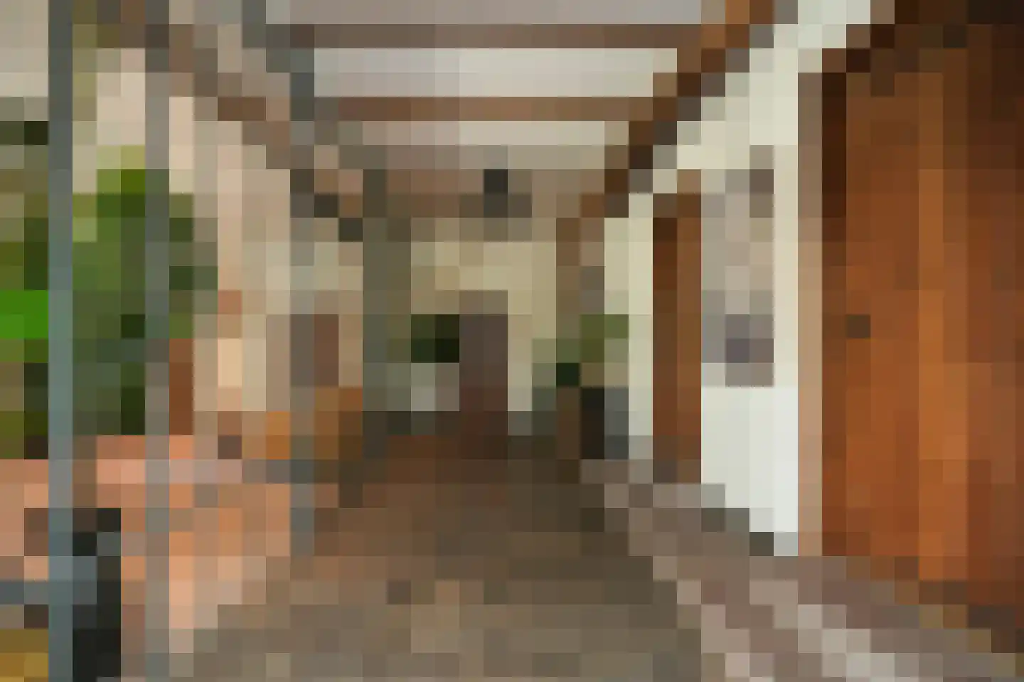 Achterstraat 11 Zoelen thumbnail 22