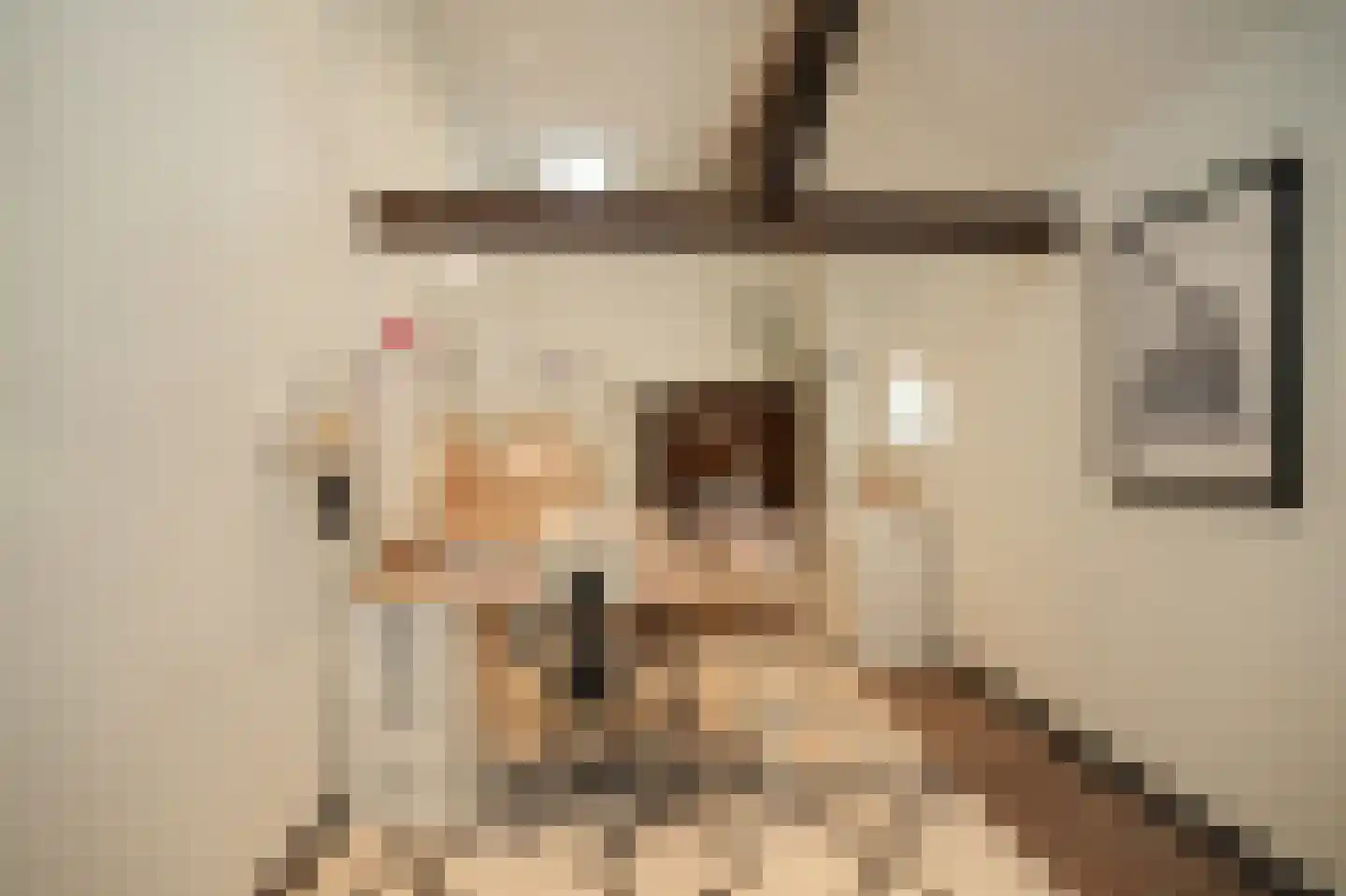 Achterstraat 11 Zoelen thumbnail 23