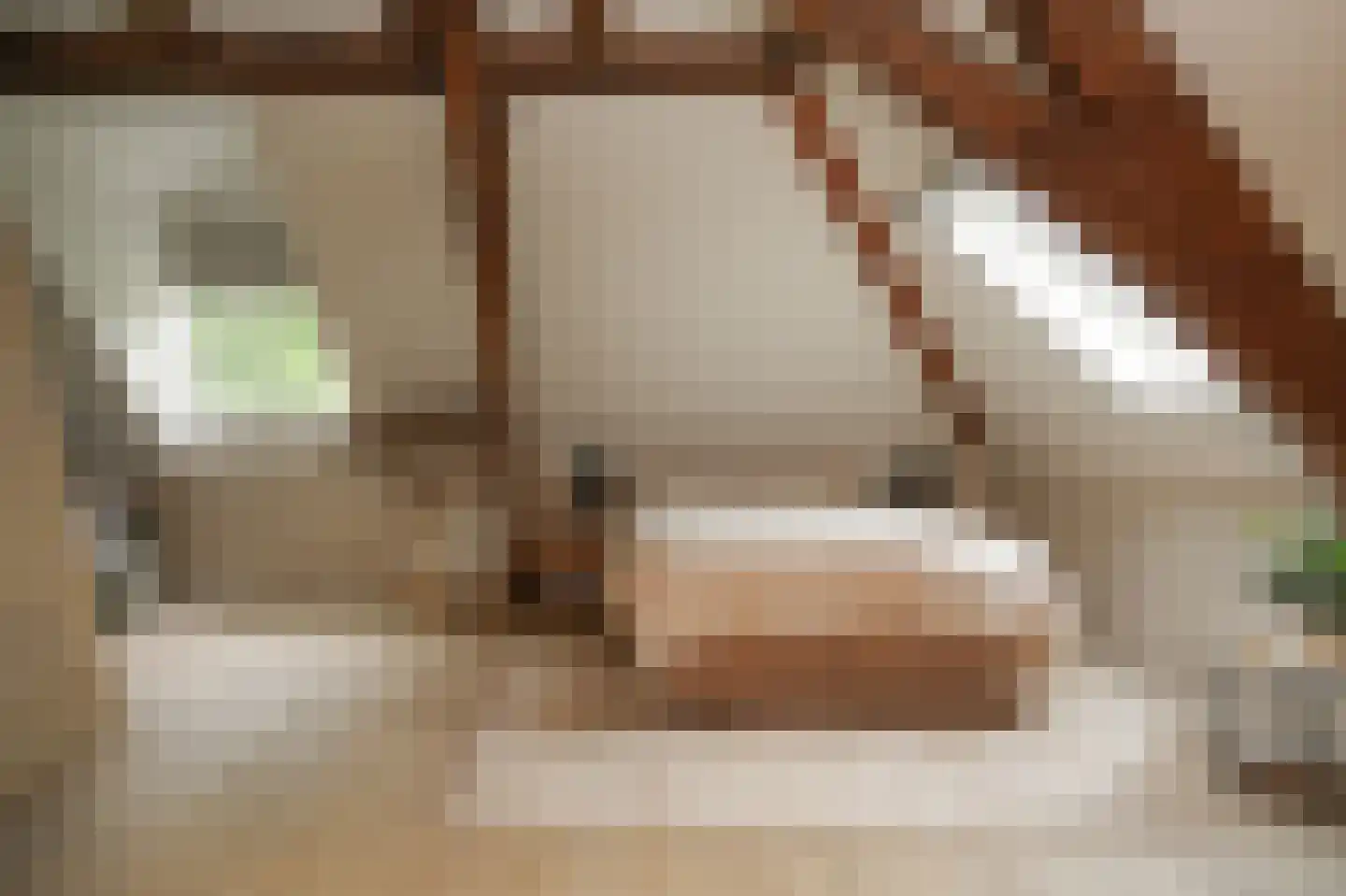 Achterstraat 11 Zoelen thumbnail 25
