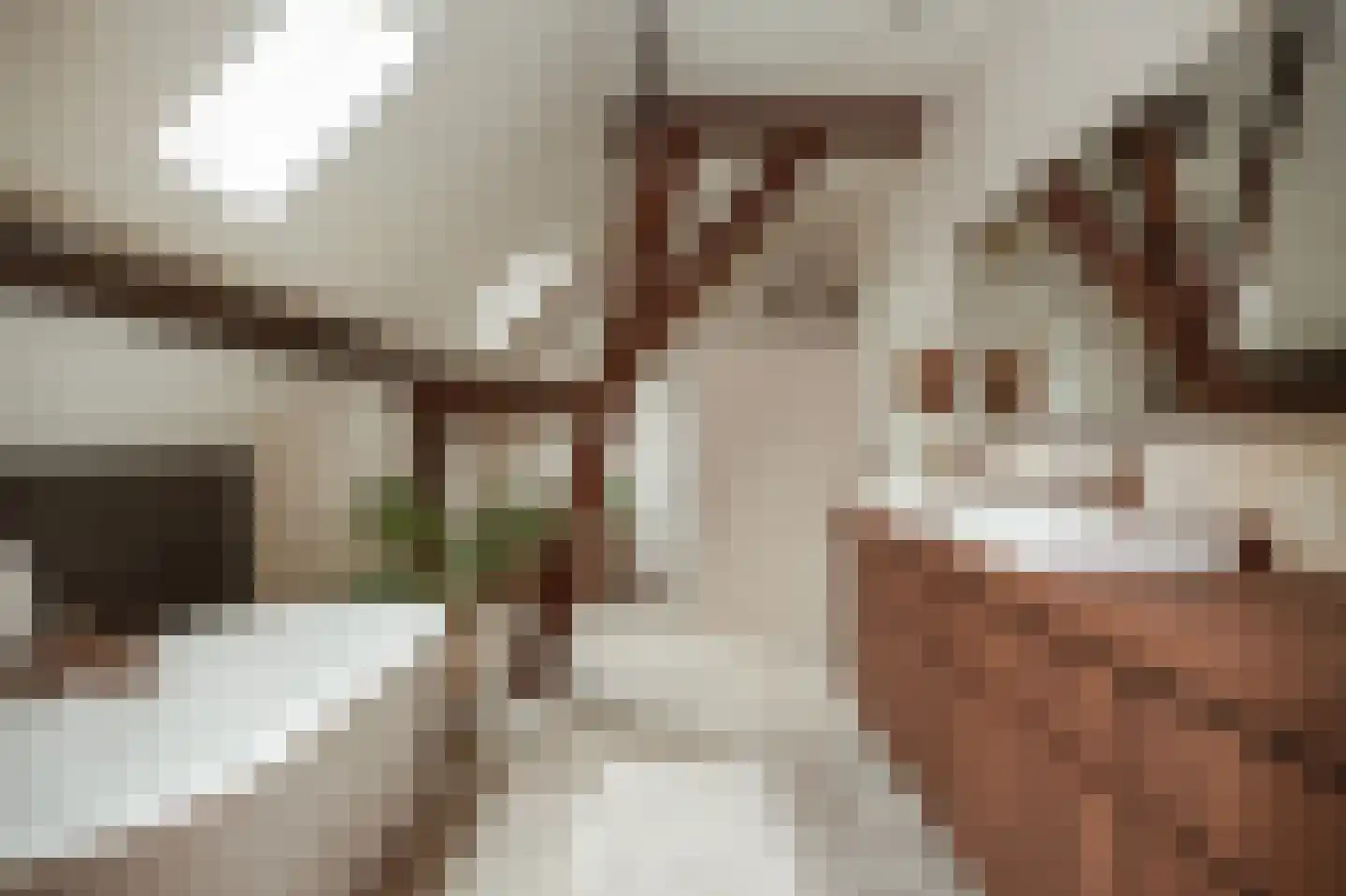 Achterstraat 11 Zoelen thumbnail 27