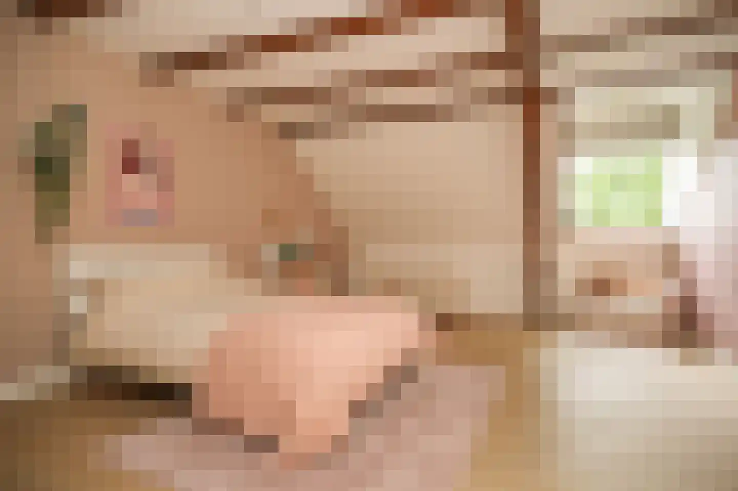 Achterstraat 11 Zoelen thumbnail 29