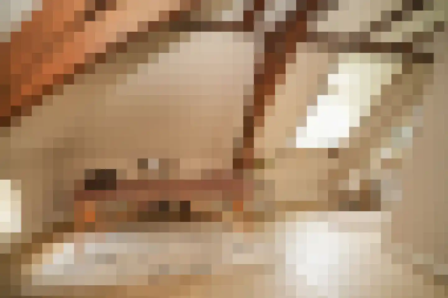 Achterstraat 11 Zoelen thumbnail 31