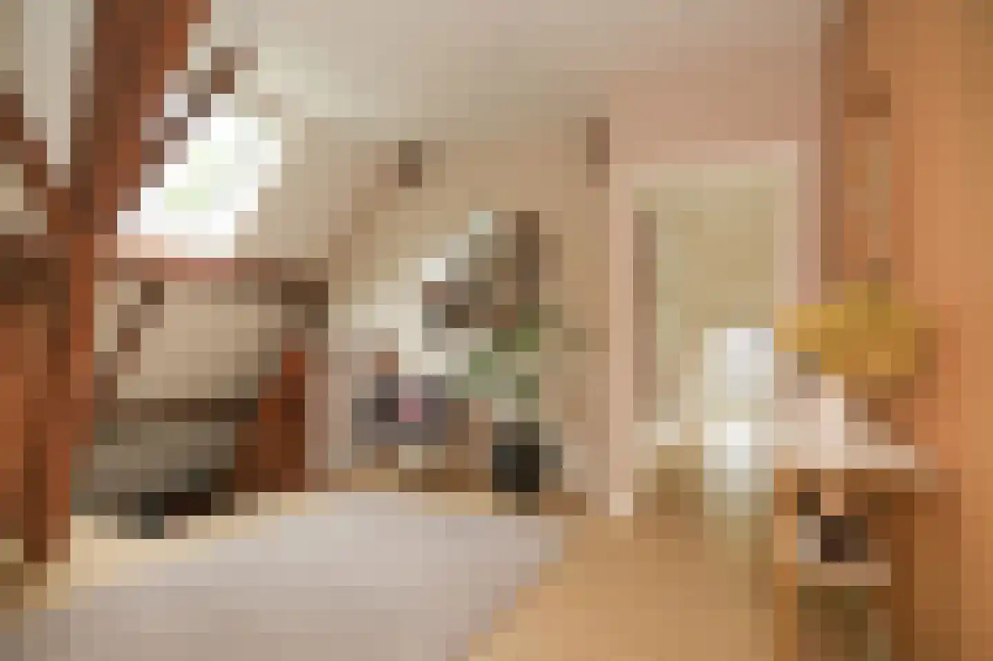 Achterstraat 11 Zoelen thumbnail 32