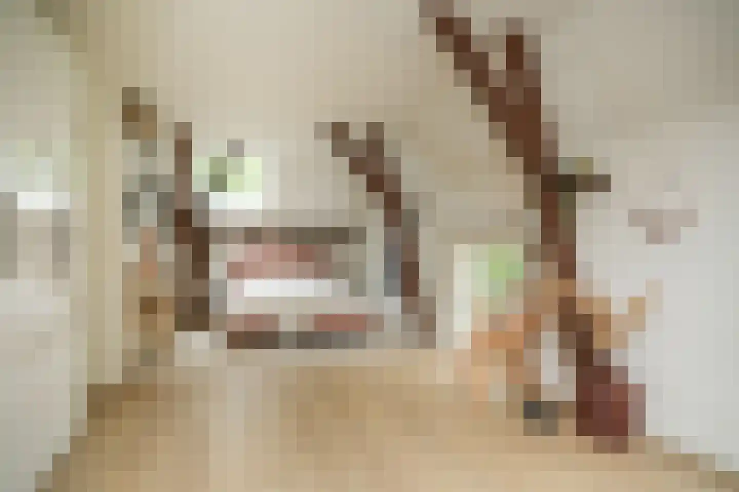 Achterstraat 11 Zoelen thumbnail 34