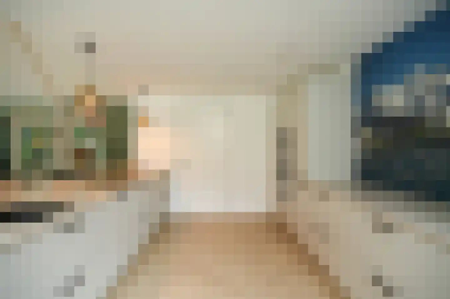 Achterstraat 11 Zoelen thumbnail 38