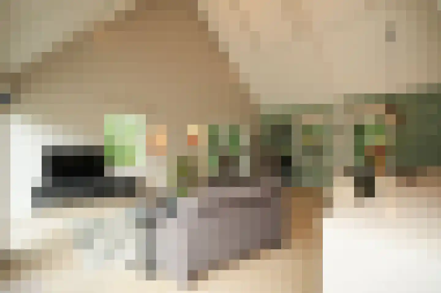 Achterstraat 11 Zoelen thumbnail 39