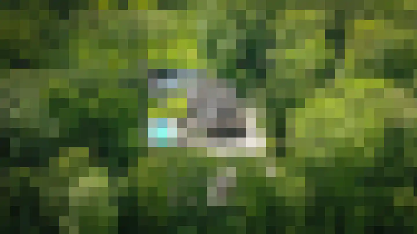 Achterstraat 11 Zoelen thumbnail 4