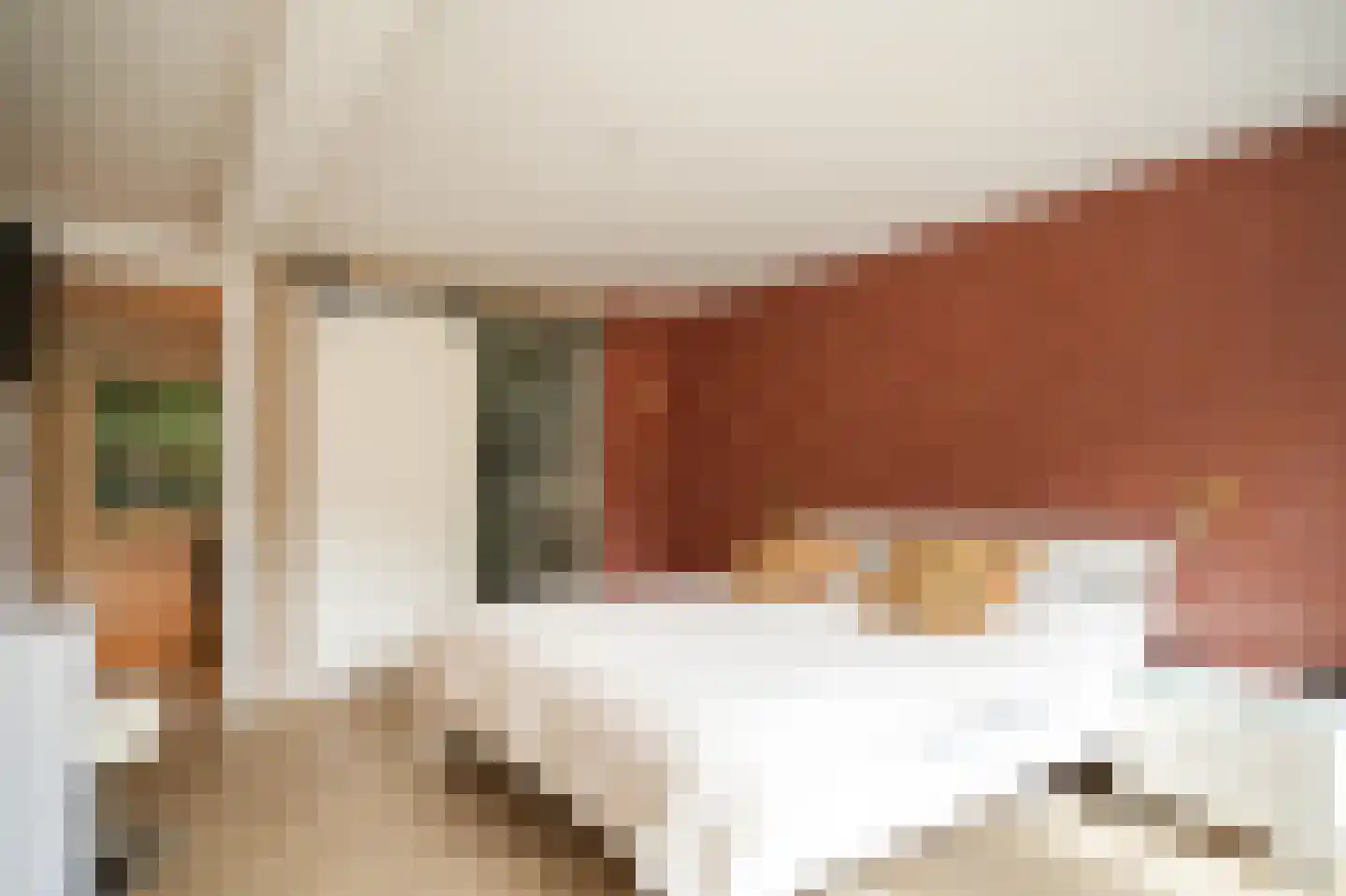 Achterstraat 11 Zoelen thumbnail 41