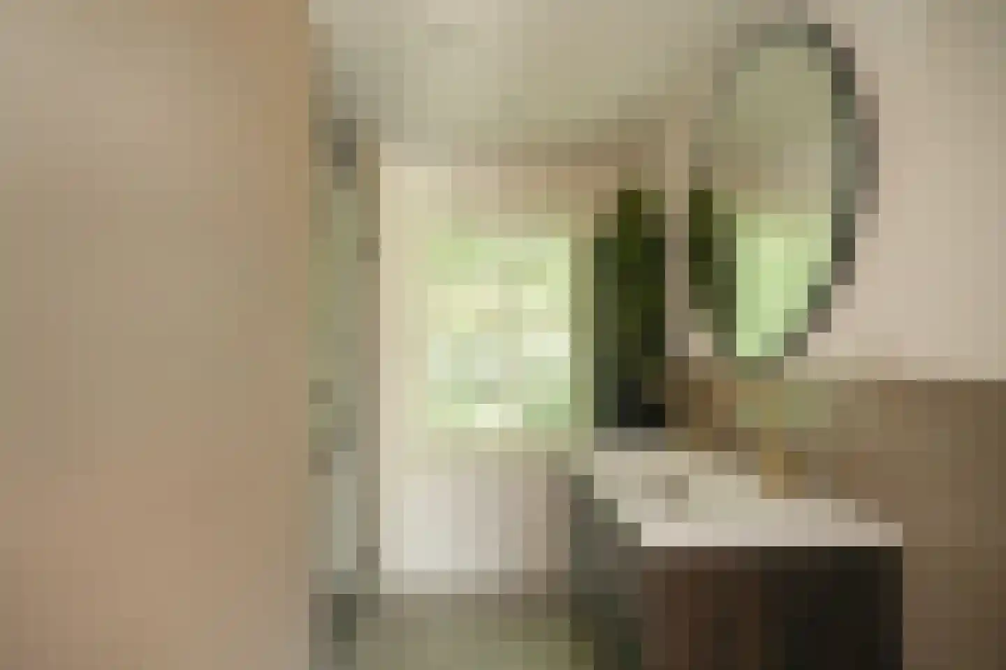 Achterstraat 11 Zoelen thumbnail 42