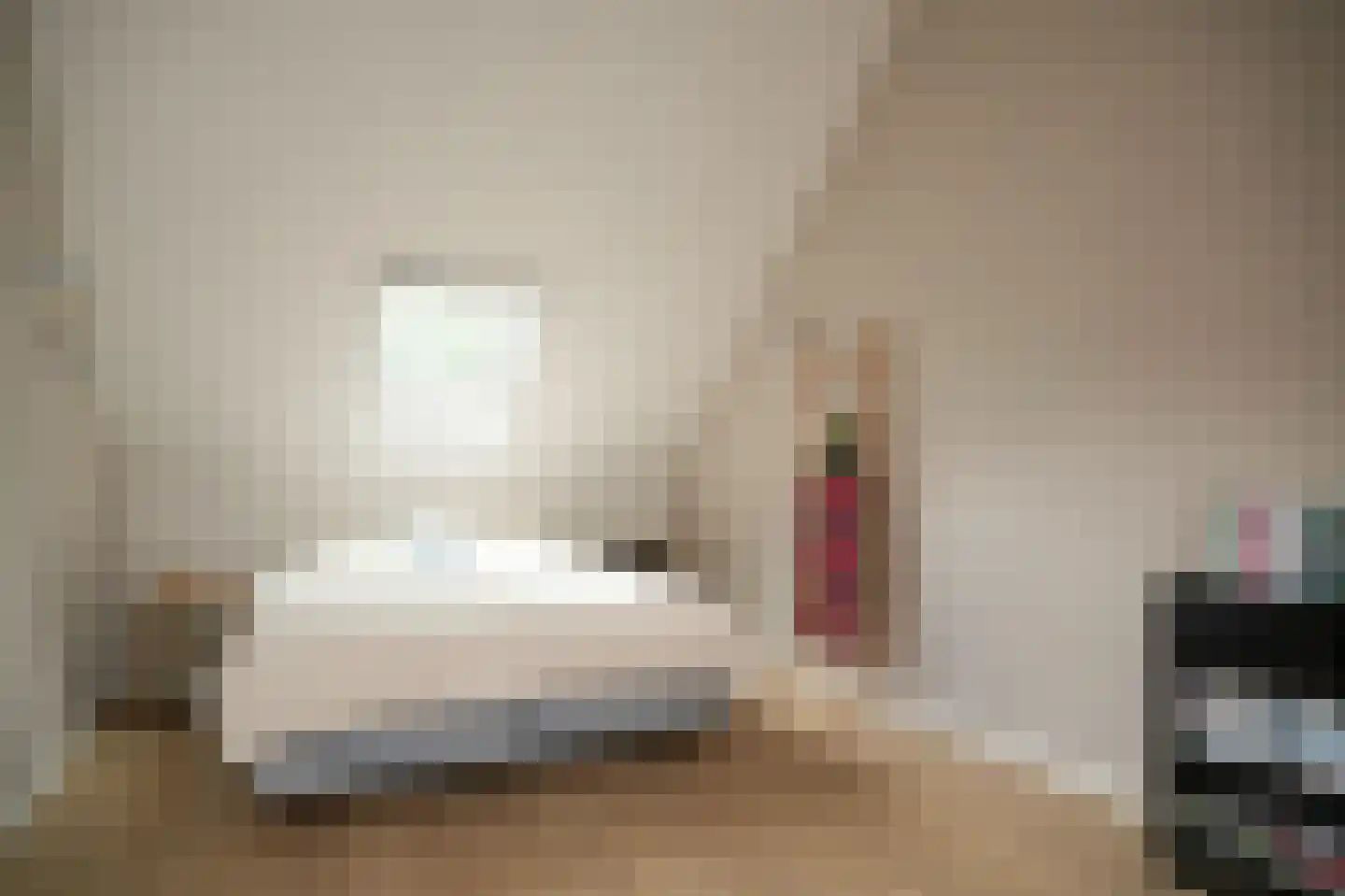 Achterstraat 11 Zoelen thumbnail 43