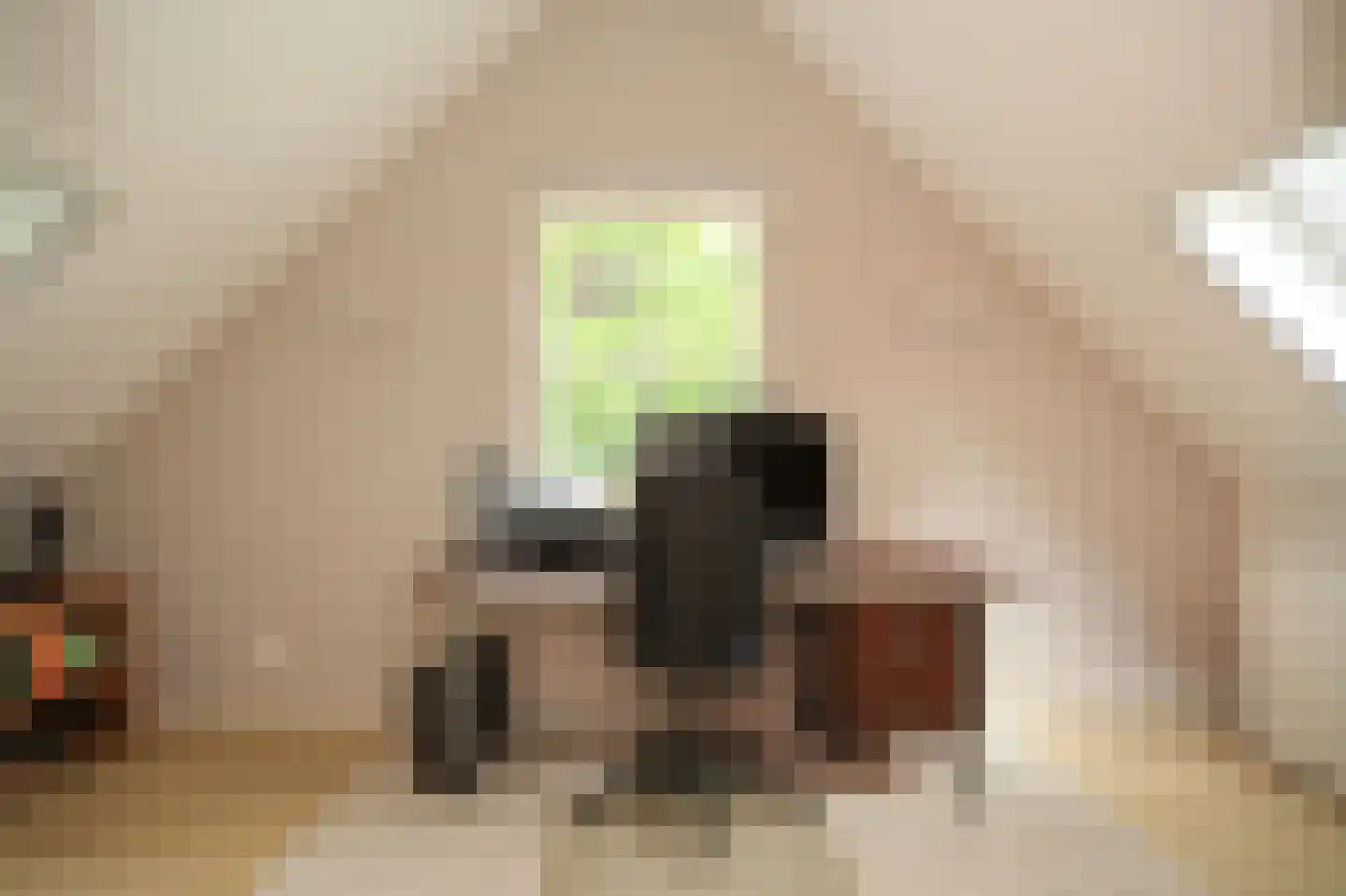Achterstraat 11 Zoelen thumbnail 44