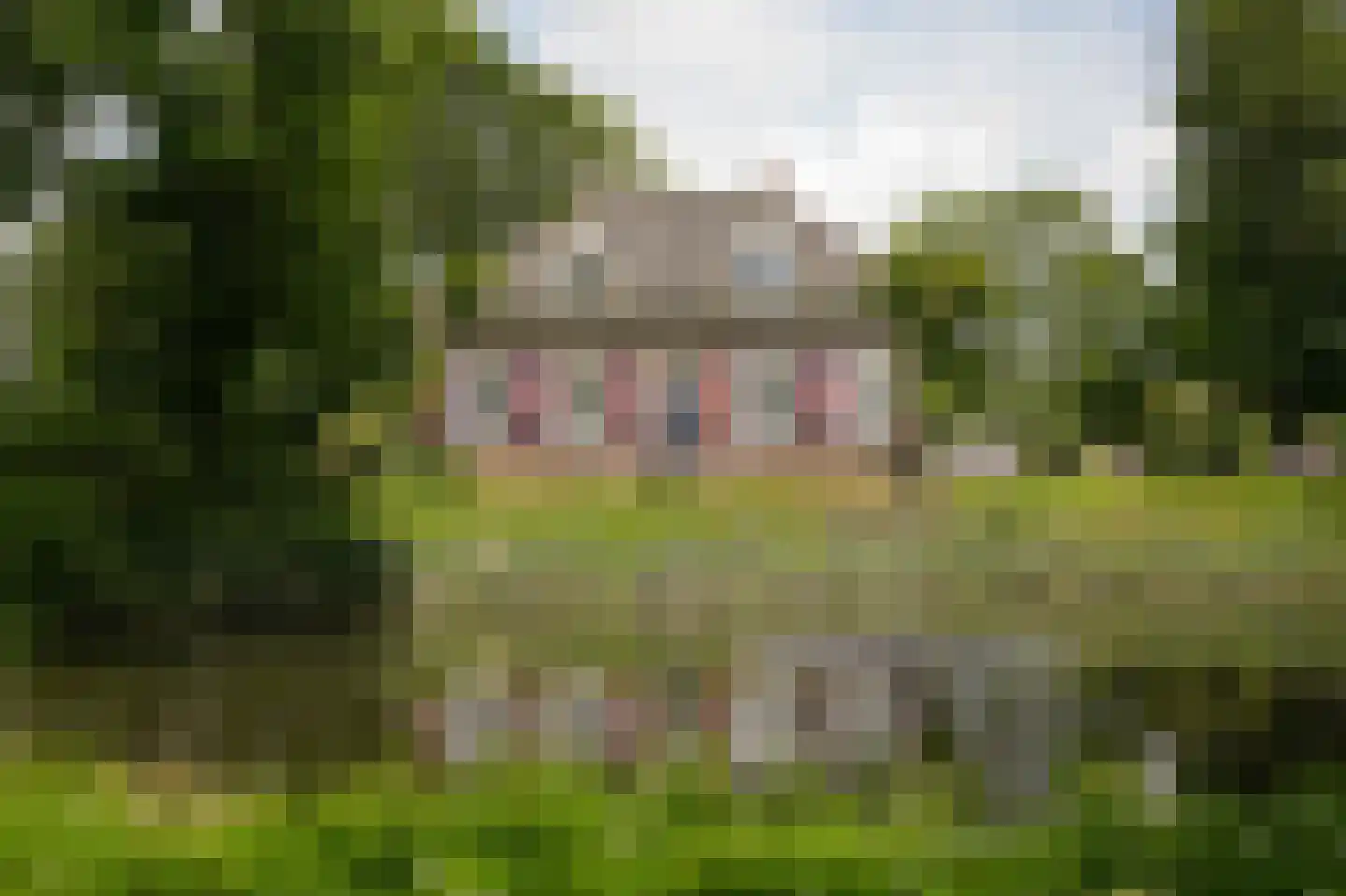 Achterstraat 11 Zoelen thumbnail 46