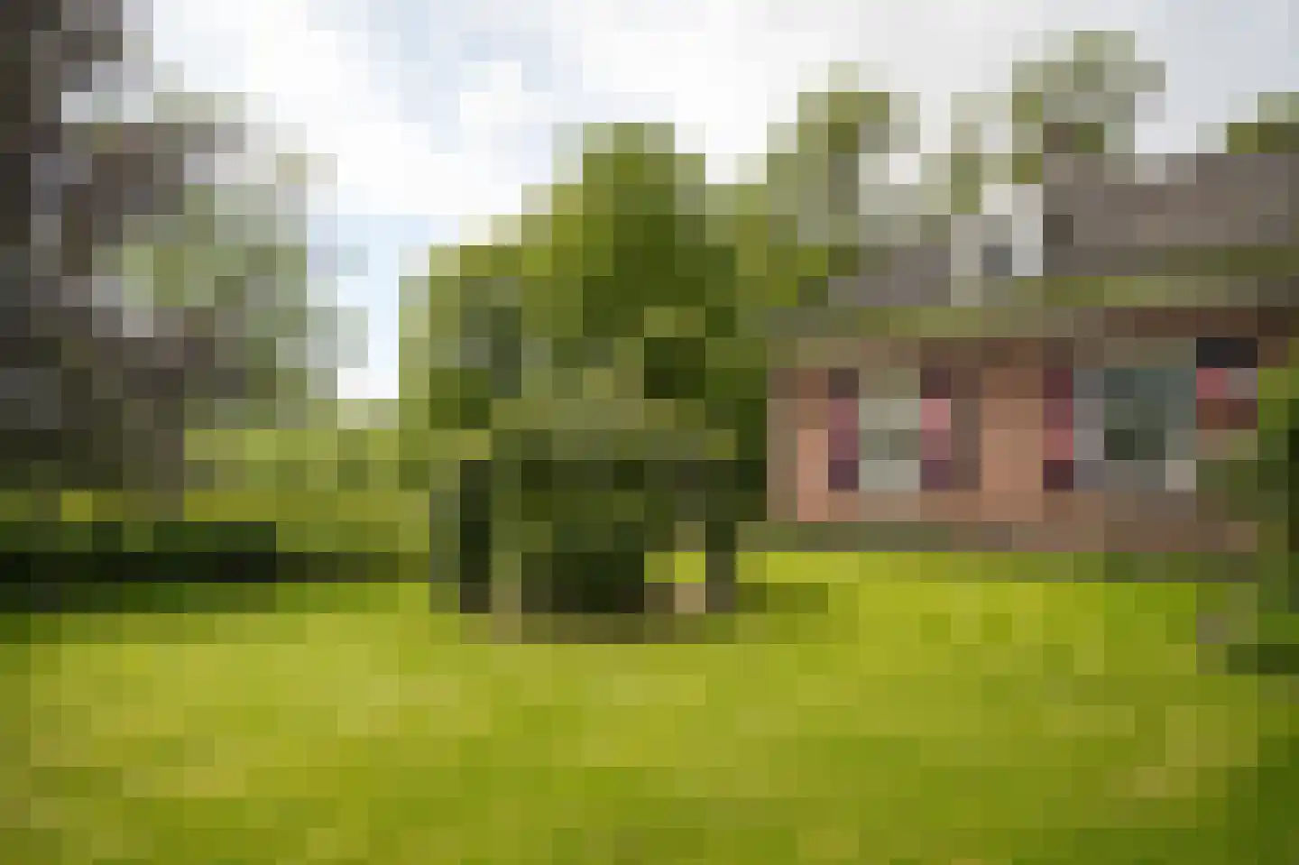 Achterstraat 11 Zoelen thumbnail 47