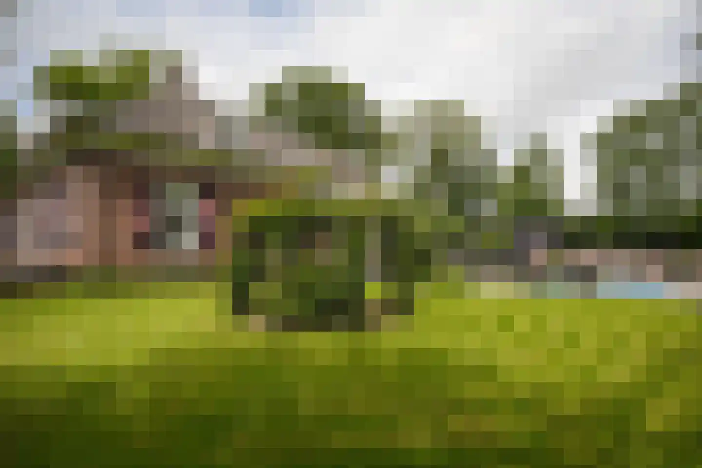 Achterstraat 11 Zoelen thumbnail 49