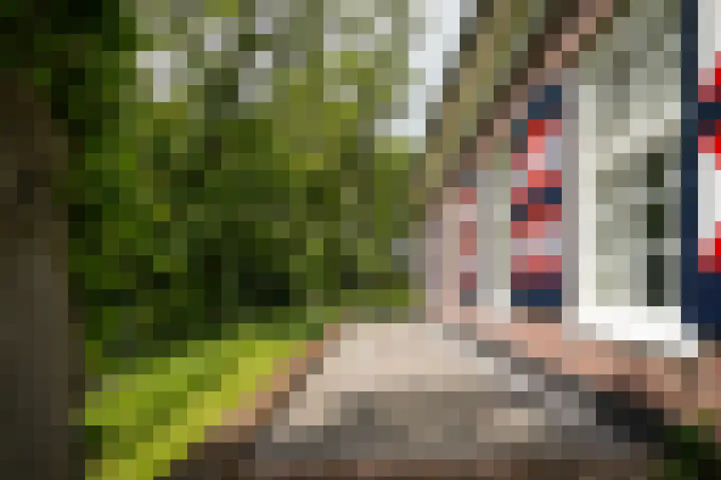 Achterstraat 11 Zoelen thumbnail 53