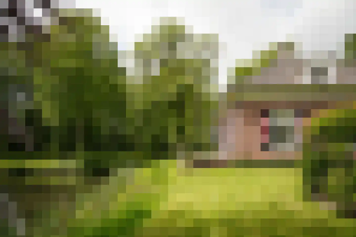 Achterstraat 11 Zoelen thumbnail 54