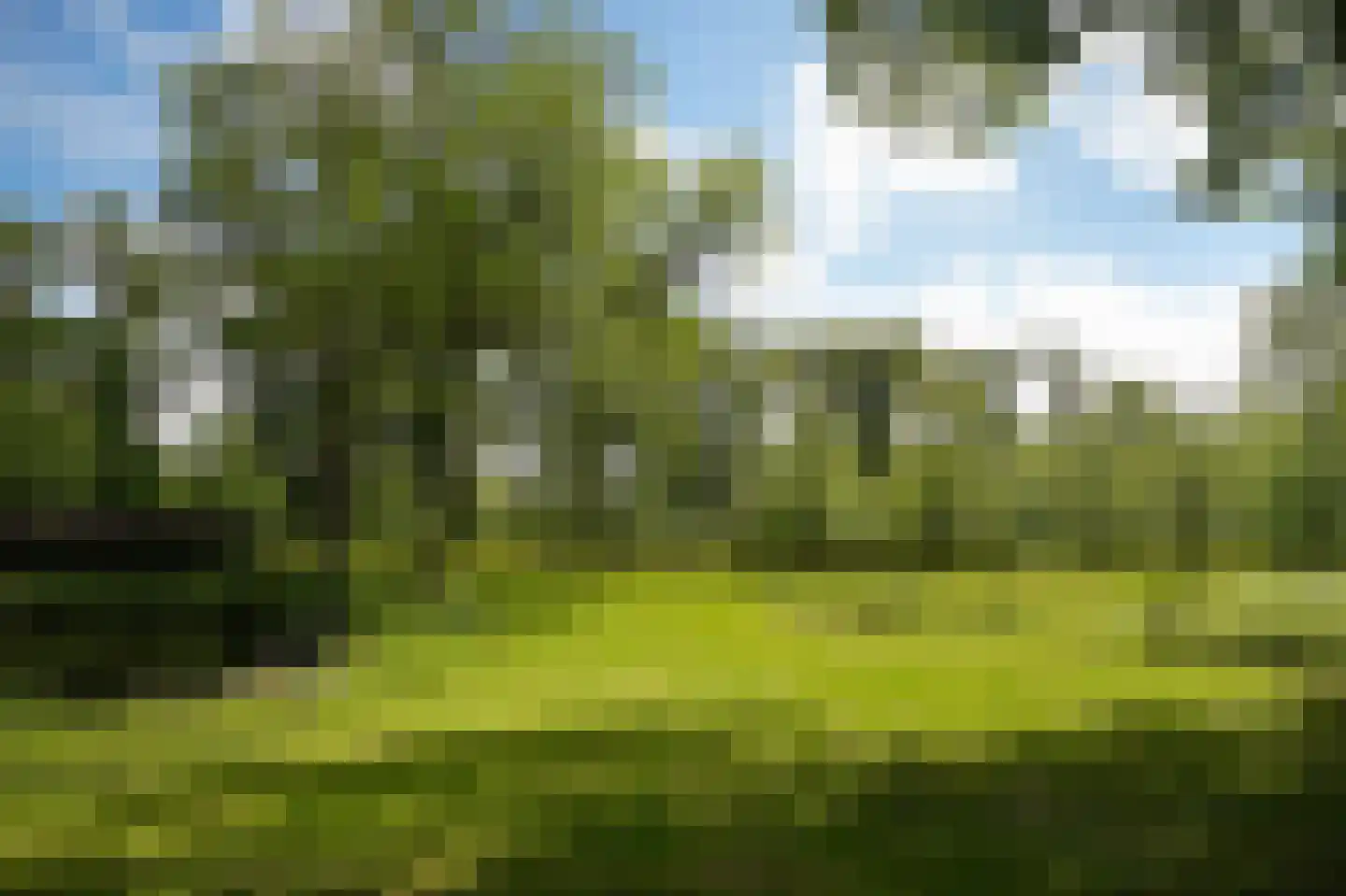 Achterstraat 11 Zoelen thumbnail 56