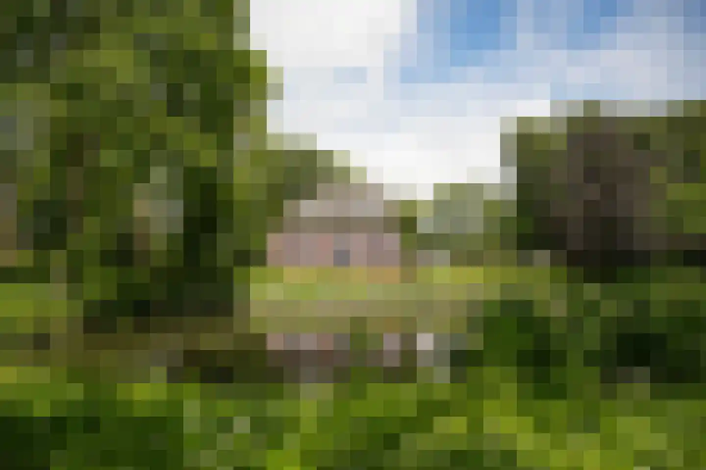 Achterstraat 11 Zoelen thumbnail 57