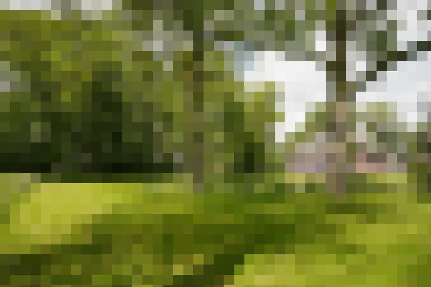 Achterstraat 11 Zoelen thumbnail 58