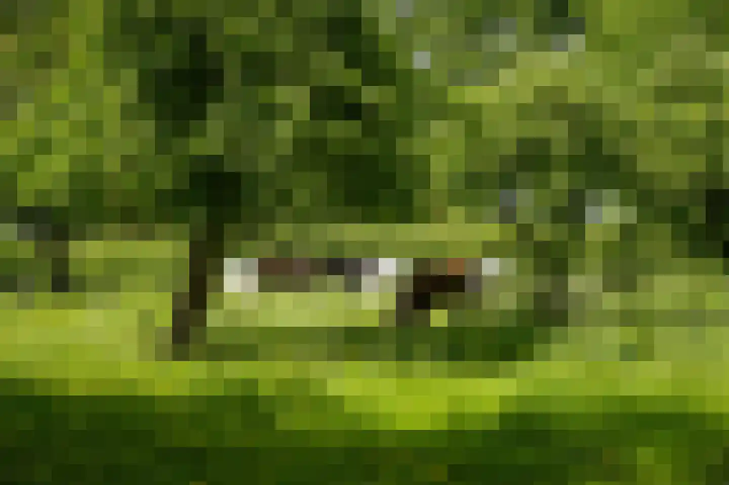 Achterstraat 11 Zoelen thumbnail 61