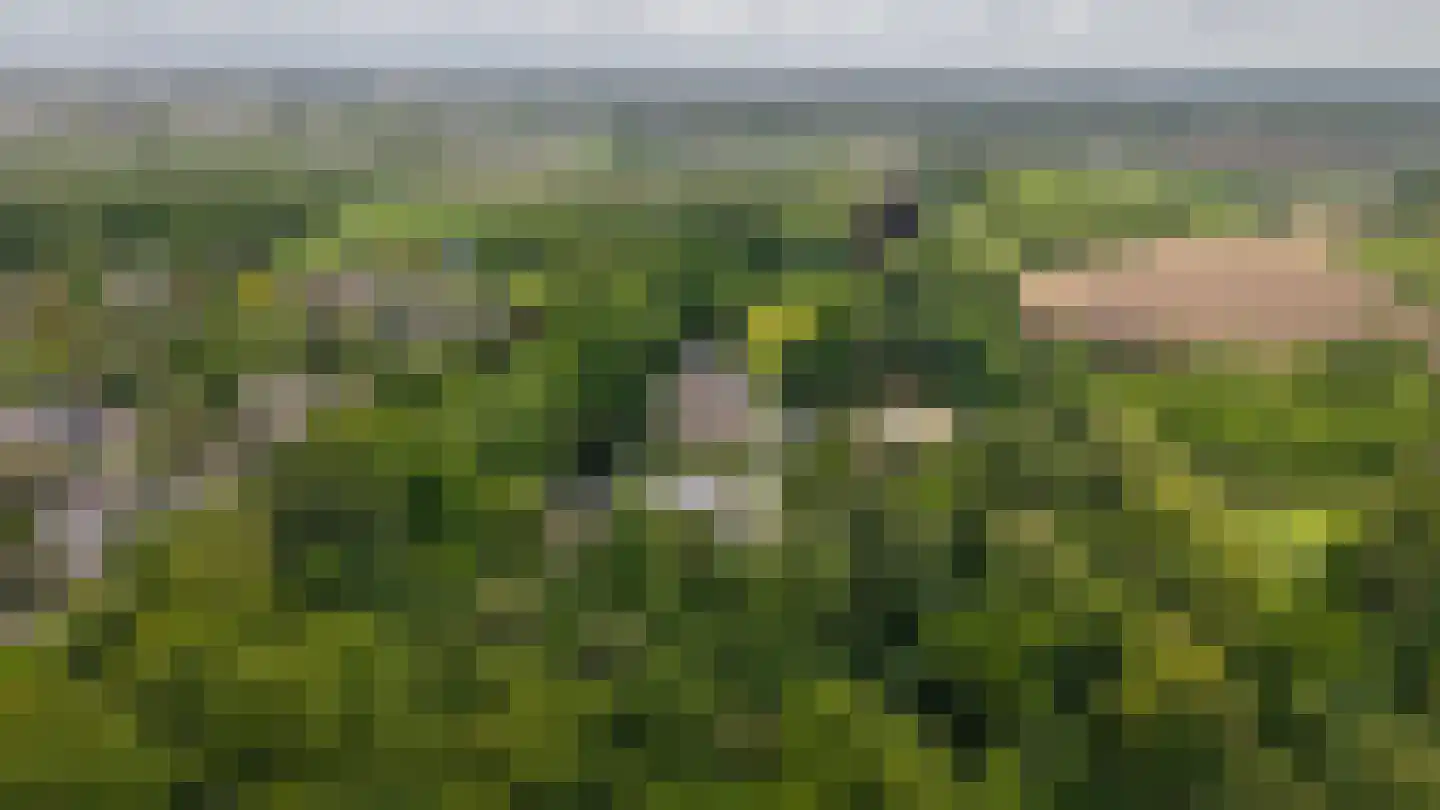 Achterstraat 11 Zoelen thumbnail 63