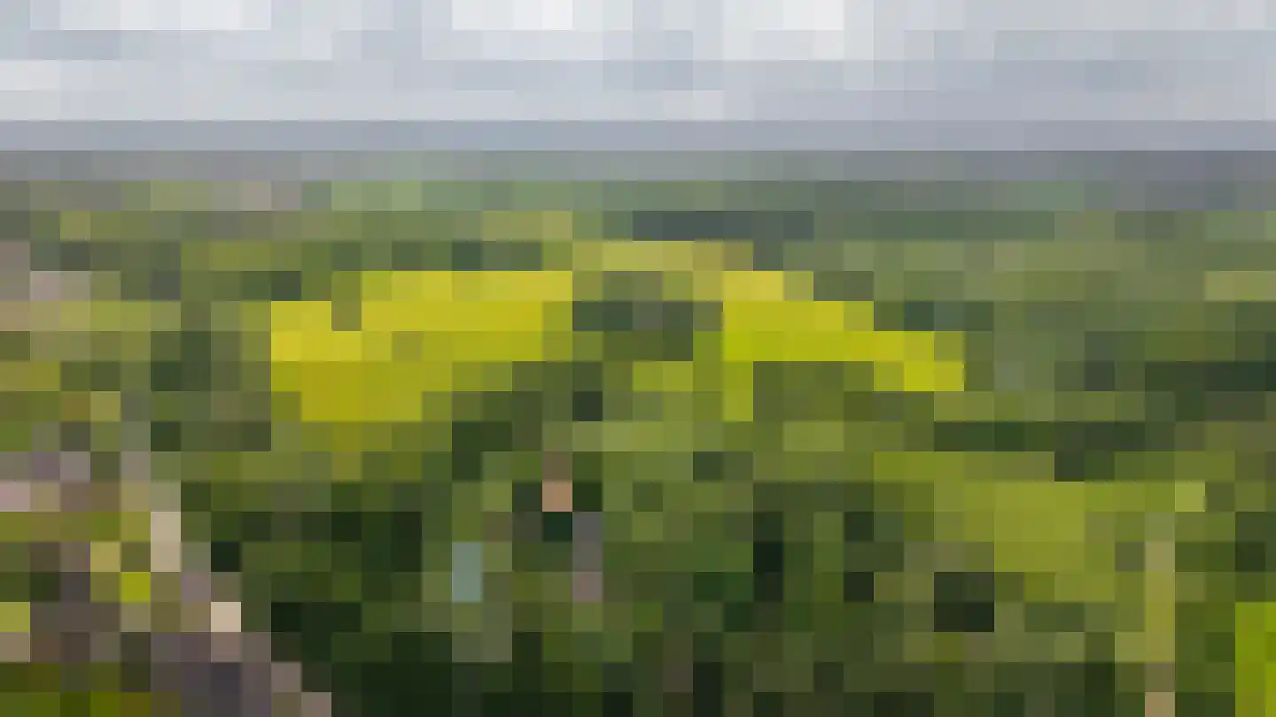 Achterstraat 11 Zoelen thumbnail 64